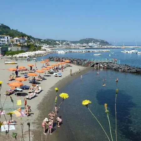 La Terrazza Dell^ippocampo #seaview Apartment *