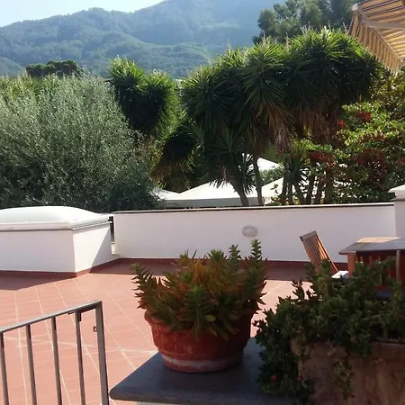 La Terrazza Dell^ippocampo #seaview Apartment Ischia